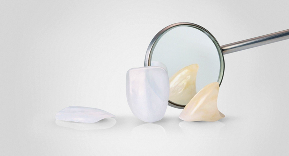 Lithoz will showcase its lithium disilicate material for dental Additive Manufacturing at the upcoming LMT Lab Day in Chicago (Courtesy Lithoz)