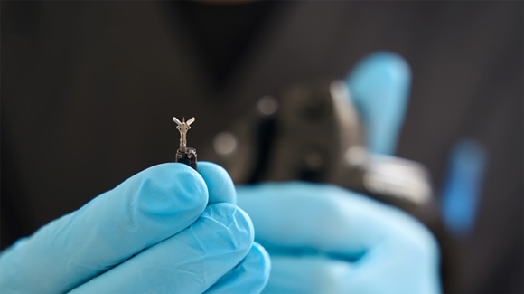 Mebus MIM-Technik is a leading specialist for MIM and CIM technology, with a particular focus and expertise in the design and production of small, complex parts with very tight tolerances (Courtesy Mebus MIM-Technik)
