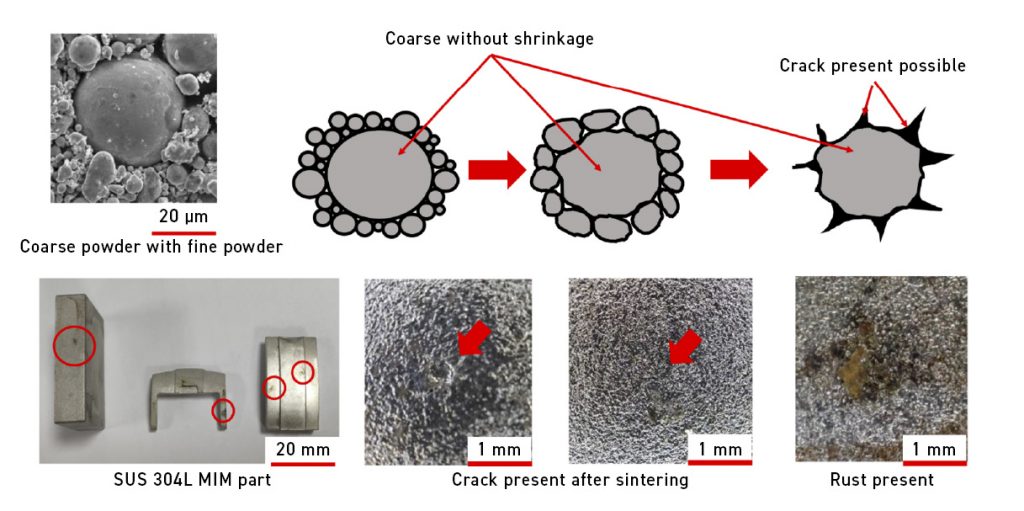 Fig. 4 The impact of coarse powder on sintered MIM parts