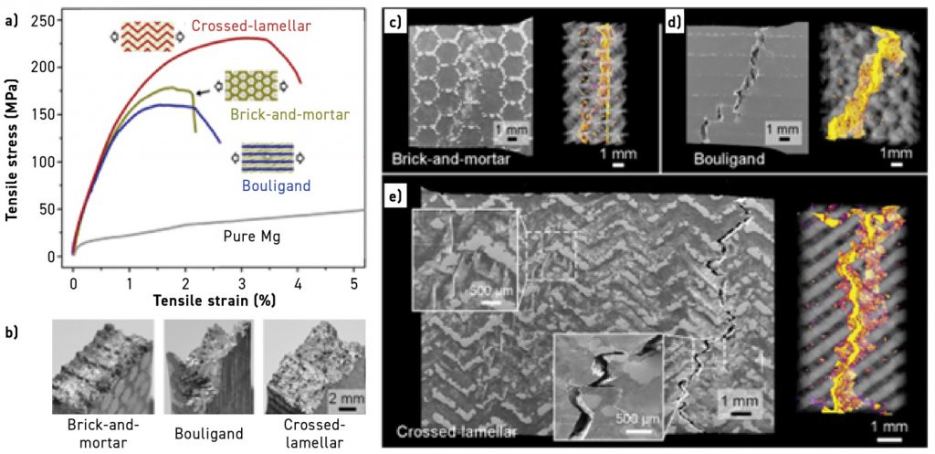Fig. 19 Example of three types of multi-material layup structures: crossed-lamellar, brick and mortar, and Boulingand and their tensile stress-strain curves, failure modes, and fracture surfaces (Courtesy Amy Elliott, ICAM 2024)
