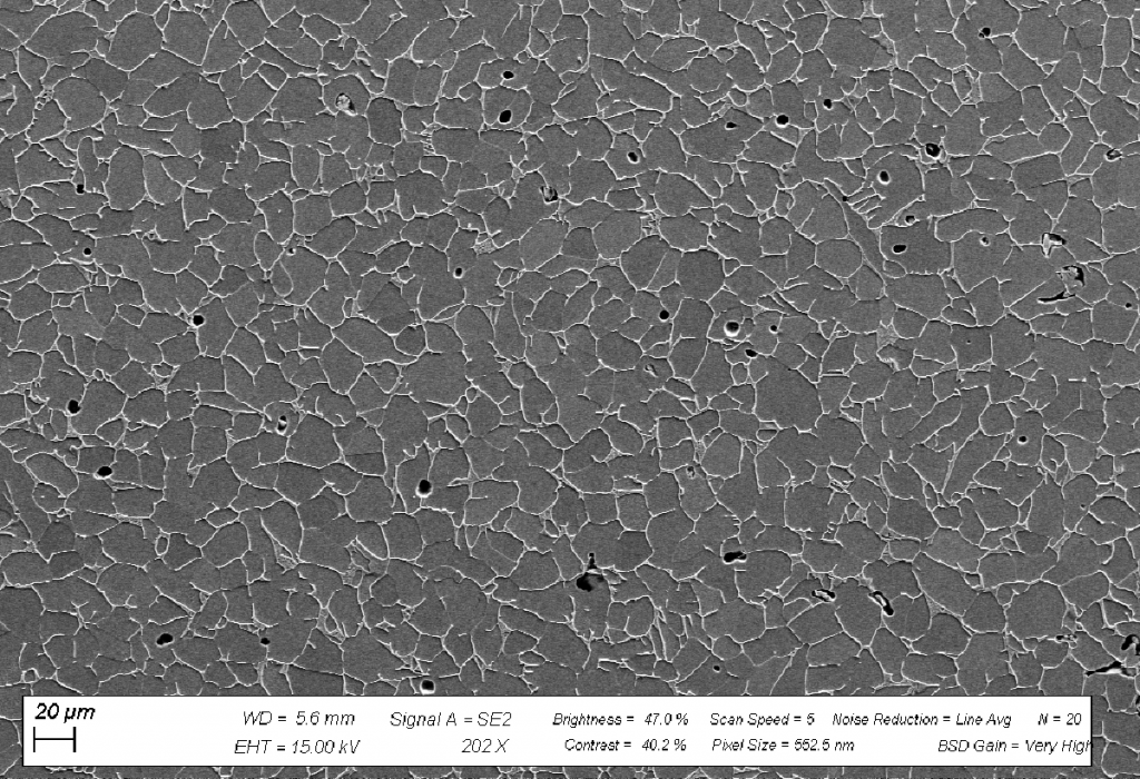 Fig. 4 Microstructure of a MIM Ti-6Al-4V part after Selective Bead Sintering (SBS) (Courtesy Element 22)
