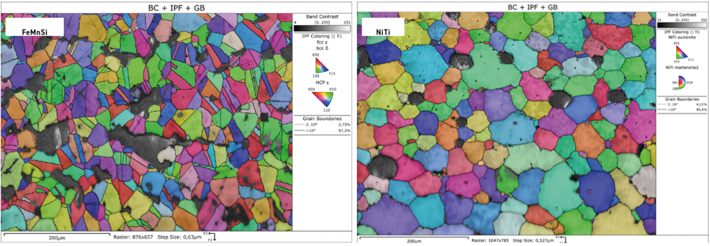 Fig. 17 As-sintered microstructures of FeMnSi and NiTi alloys produced by SG-3DP and sintering (Courtesy Efrain Carreño-Morelli, University of Applied Sciences and Arts Western Switzerland)