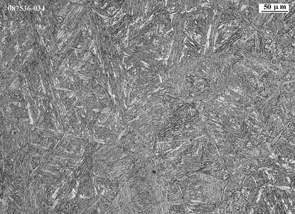 Fig. 28 Microstructure of post-sinter HIPed parts showing near-fully martensitic structure with larger needle size; hardness 426 ± 3 HV (Courtesy Iñigo Agote, TECNALIA)