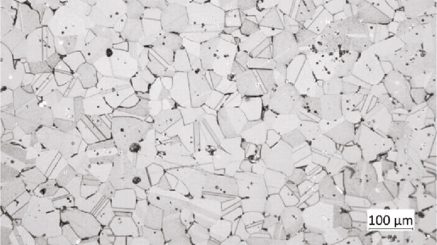 Fig. 6 Micrograph of as-sintered 316L stainless steel produced on the Tritone Dominant machine